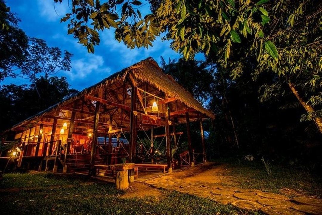 Imagen del tour Amazon River landscape